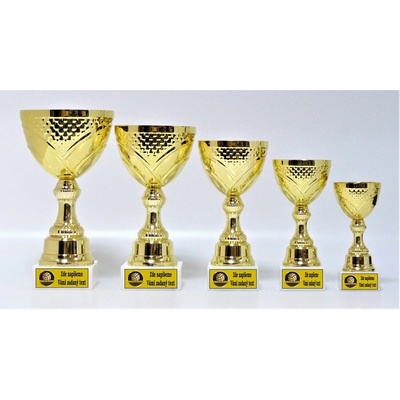 VIZINGR Volejbalové poháry 332-LAC023 332-LAC023/18 cm