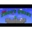 Super Frog's Quest