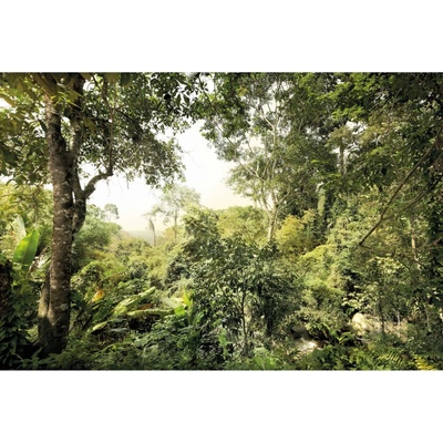 Komar Vliesová fototapeta Djungle rozměry 400 x 260 cm