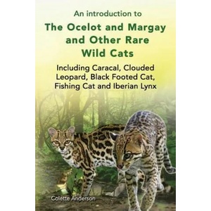 introduction to The Ocelot and Margay and Other Rare Wild Cats Including Caracal, Clouded Leopard, Black Footed Cat, Fishing Cat and Iberian Lynx | Colette Anderson (ISBN: 9781909820777)
