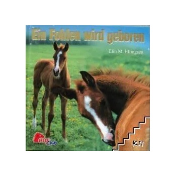 Image 1 of Ein Fohlen wird geboren