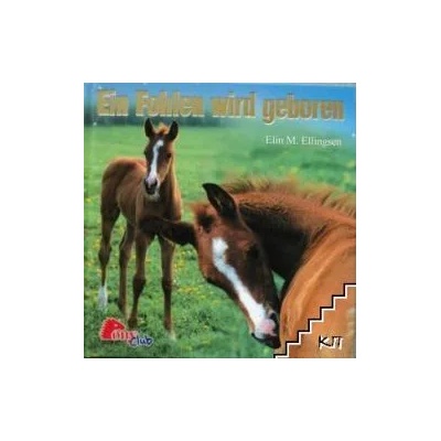 Ein Fohlen wird geboren