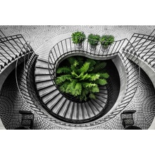 Bondecor Obraz na plátně černobílý "Schodiště black & green" 116x80cm