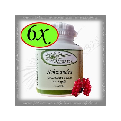 Ex Herbis Schizandra kapsle 6 x 100 tablet