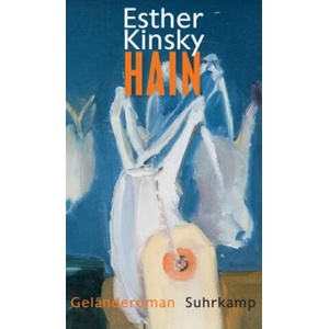 Hain | Esther Kinsky (ISBN: 9783518469514)