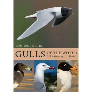 Gulls of the World | Klaus Malling Olsen (ISBN: 9781408181645)