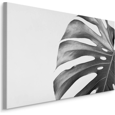 MyBestHome BOX Plátno List Monstera V Černobílém Provedení Varianta: 100x70