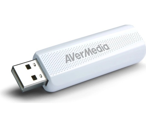 AverMedia TD310