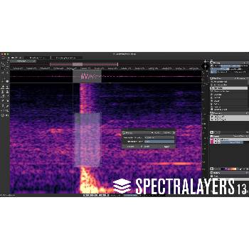 Steinberg SpectraLayers Pro 13