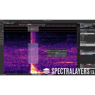 Steinberg SpectraLayers Pro 13