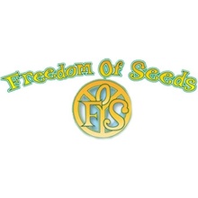 Freedom Of Seeds 3 Kingdoms semena neobsahují THC 3 ks