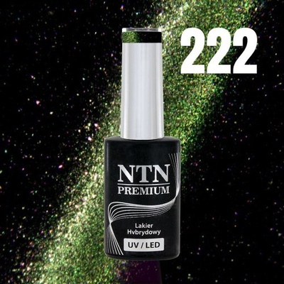 NTN Gél lak premium Magnetic Cat Eye 6D 222 5 g