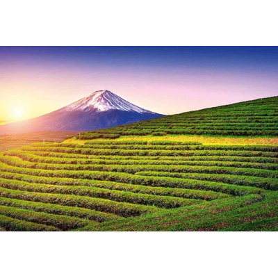 DIMEX ART Флизелинов фототапет фуджи, япония 375 x 250 см