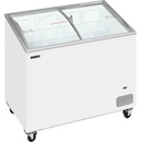 TEFCOLD IC302SCEB