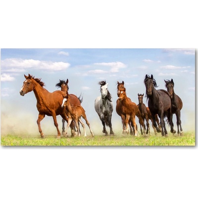 Foto obraz sklo tvrzené Kone v cvale 100x50 cm