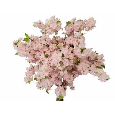 Декоративно дърво Сакура, Пепел От Рози, 240 см (sk-tr-pr)