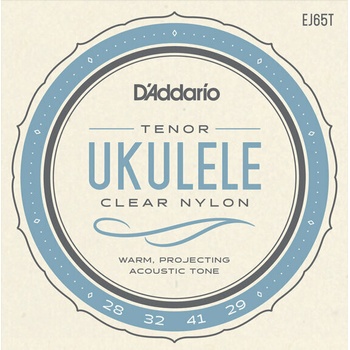 D'Addario EJ65T