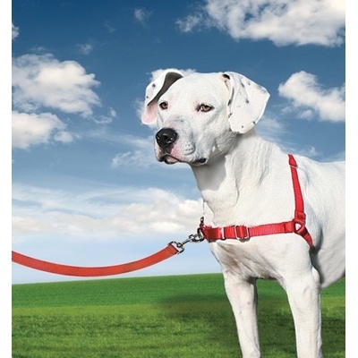 Easy Walk Harness Postroj proti ťahaniu S