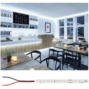 PAULMANN 76019