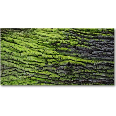 Fotoobraz na skle kôra stromu 100x50 cm