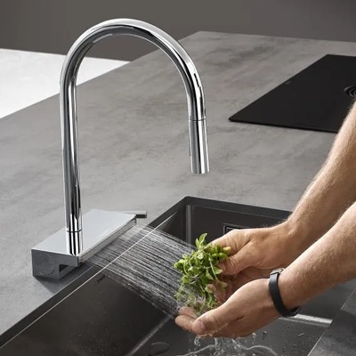 Hansgrohe 73831000