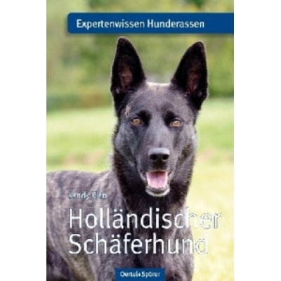Holländischer Schäferhund