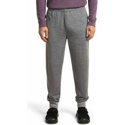 Icebreaker Mens Merino 200 Shifter Pants Metro Heather