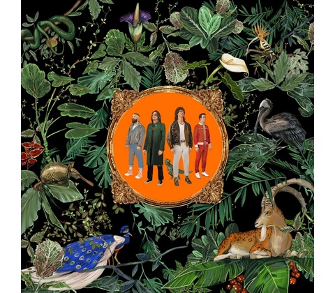 Amazing Things - Don Broco CD