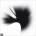 Linkin Park - A Thousand Suns (LP) (93624963189)