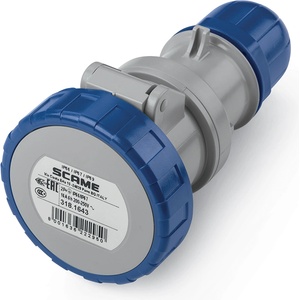 SCAME 318.1643
