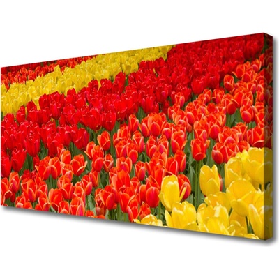 Obraz na plátně Tulipány Květiny 100x50 cm
