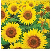 TaT ubrousky Sunflowers Field 33x33cm