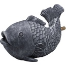 Oase Chrlič vody ryba