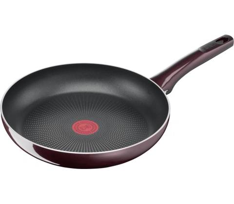 Tefal D5220483 24 cm