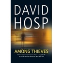 Among Thieves - David Hosp