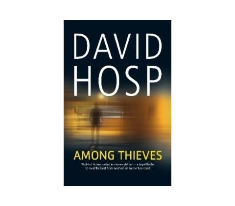Among Thieves - David Hosp