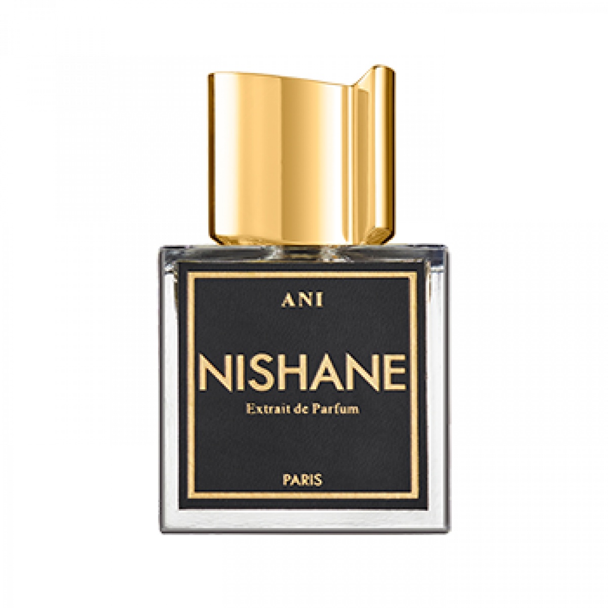 NISHANE Ani Extrait de Parfum 100 ml