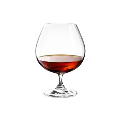 Tescoma Sklenice na koňak CHARLIE 700 ml