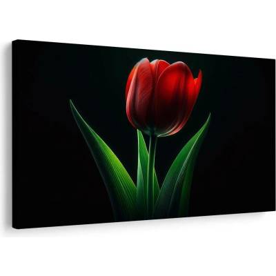 Obraz červená tulipánová elegance - 90x60