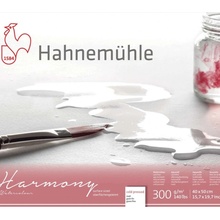 Hahnemühle harmony akvarelový blok 300 GR M2 lisovaný za sudena 12 listov A4