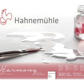 Hahnemühle harmony akvarelový blok 300 GR M2 lisovaný za sudena 12 listov 40 x 50 cm