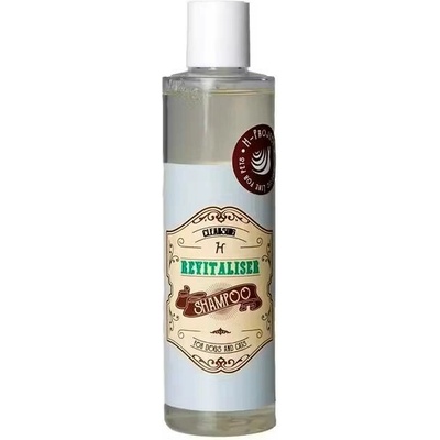 H Project Line Šampon silný regenerační REVITALISER Revitaliser 250 ml