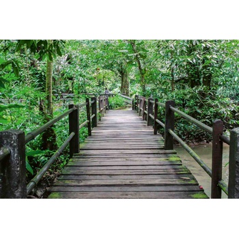 DIMEX ART s. r. o Флизелинов фототапет дървен мост в гората 375 x 250 см