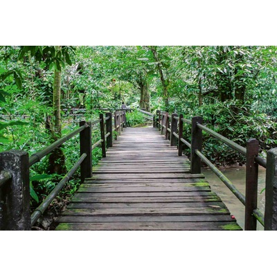 DIMEX ART Флизелинов фототапет дървен мост в гората 375 x 250 см