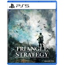 Triangle Strategy