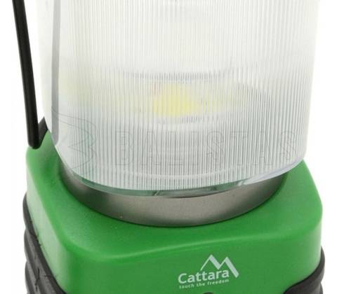 Cattara 13149