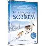 Multiland Айло: Одисея из Лапландия - dvd (037274)