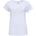 Russell Athletic Ss t-shirt xxl