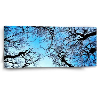 Sablio Obraz Holé konáre - 110x50 cm