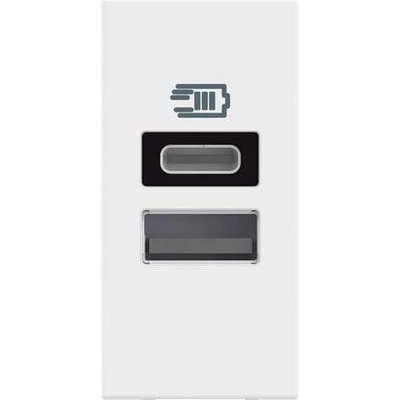 BTicino Розетка 2xUSB за зареждане тип A+C 3A 15W 1 мод. цвят Бял /блистер/ Classia - RW4191AC (RW4191AC)